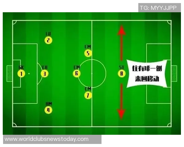 南京排球队盯防战术解析与比赛表现的深度剖析