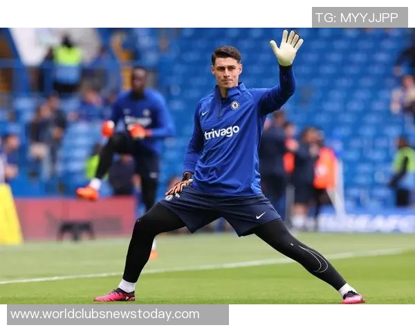 布莱顿与维冈比赛前瞻分析及双方近期状态对比